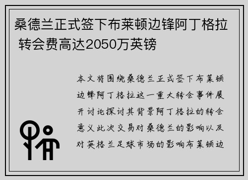 桑德兰正式签下布莱顿边锋阿丁格拉 转会费高达2050万英镑